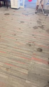 Commercial Carpet Cleaning Services