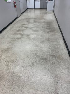 Office Floor Cleaning Services